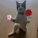 ملصق