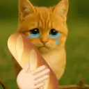 Կպչուն պիտակ