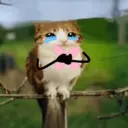 Կպչուն պիտակ