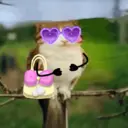 Կպչուն պիտակ