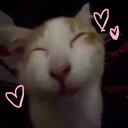 ملصق