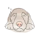 Стикер