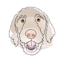 Стикер