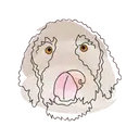 Стикер