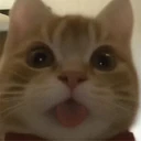 ਸਟਿਕਰ