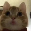 ਸਟਿਕਰ