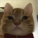ਸਟਿਕਰ