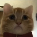 ਸਟਿਕਰ
