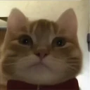 ਸਟਿਕਰ