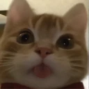 ਸਟਿਕਰ