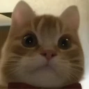 Stika