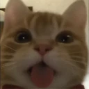 Stika