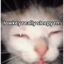 Samolepka