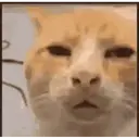 स्टिकर