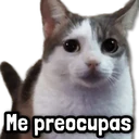 Стикер