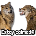 Стикер