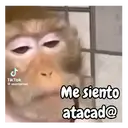 ملصق