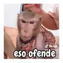 ملصق
