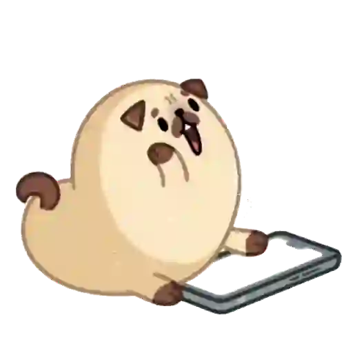 Nhãn dán