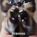 Figurinha