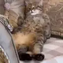Figurinha