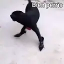 Figurinha