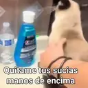 Figurinha