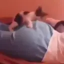 Figurinha