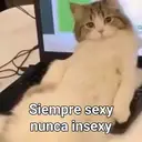 Figurinha