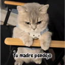 Стикер