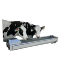 Stika