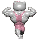 ਸਟਿਕਰ