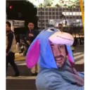 贴纸