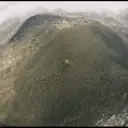 ملصق