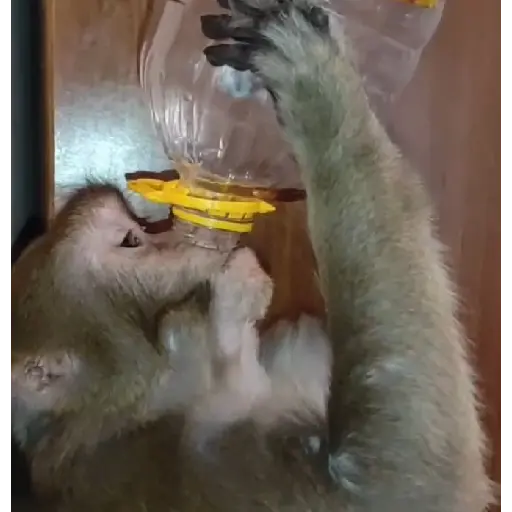 स्टिकर