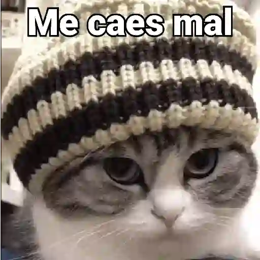 ملصق