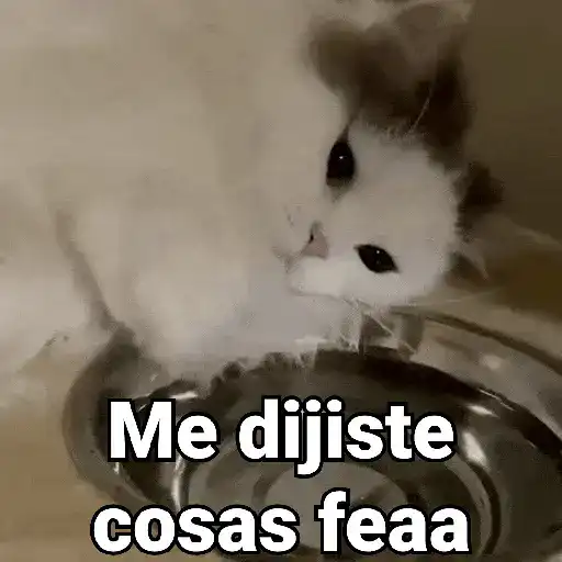 ملصق