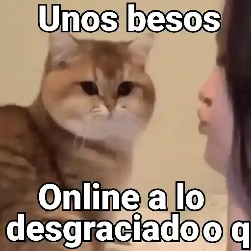 ملصق