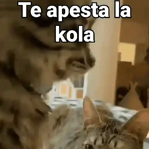 ملصق
