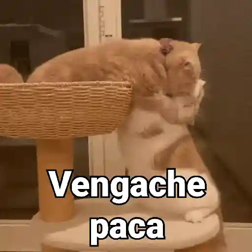 ملصق