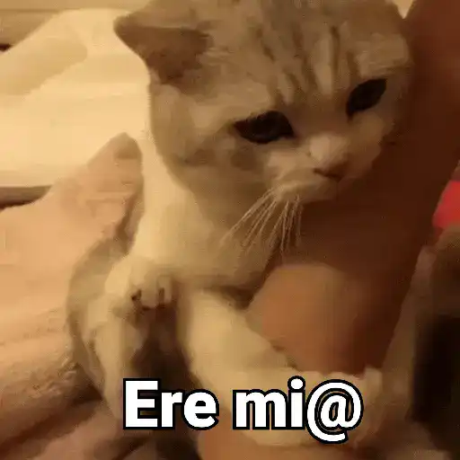 ملصق