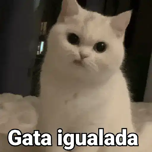 ملصق