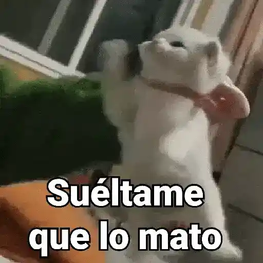 ملصق