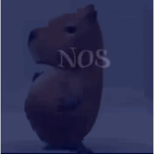 Ngjitës