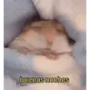 ملصق