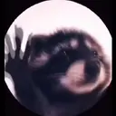استیکر