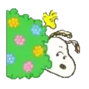 Nhãn dán