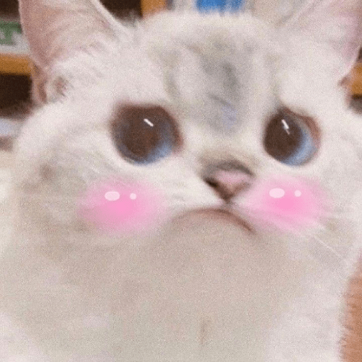 สติกเกอร์