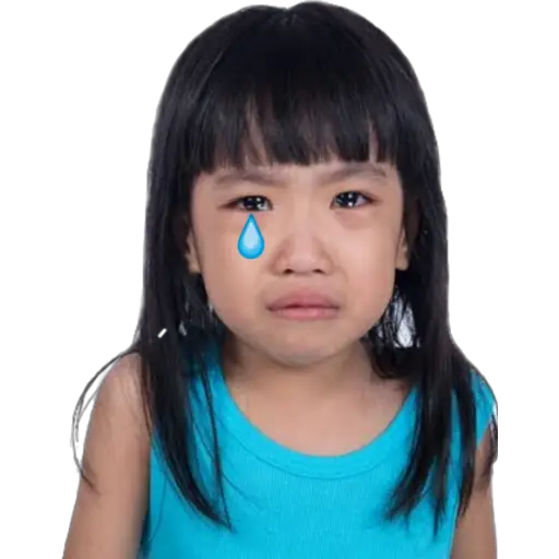 贴纸