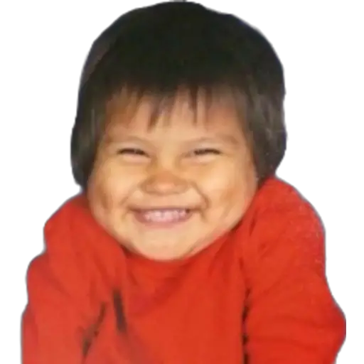 贴纸